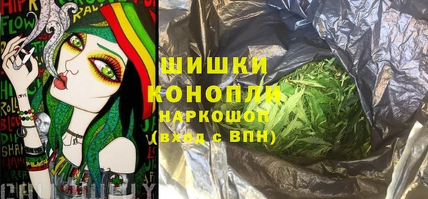 индика Балахна