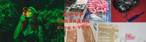 индика Балахна