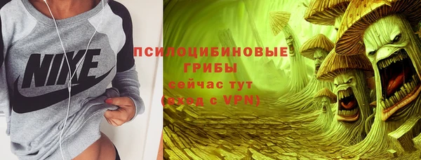 индика Балахна