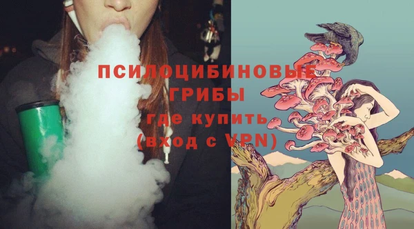 индика Балахна