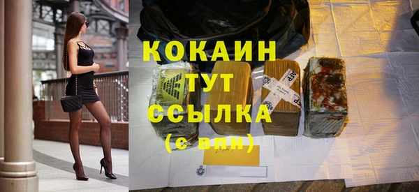 индика Балахна
