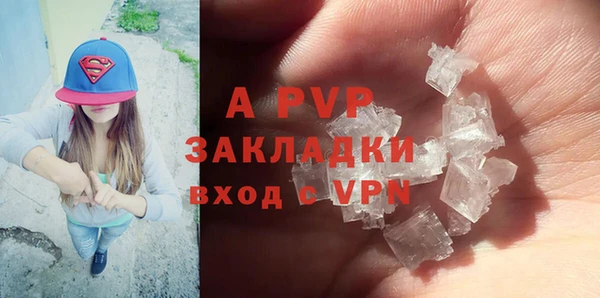 индика Балахна