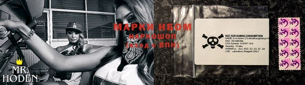 ПСИЛОЦИБИНОВЫЕ ГРИБЫ Балабаново