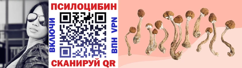 цены   Красноармейск  omg ссылки  Псилоцибиновые грибы Cubensis 